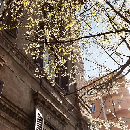 Loving Testaccio * Rom
